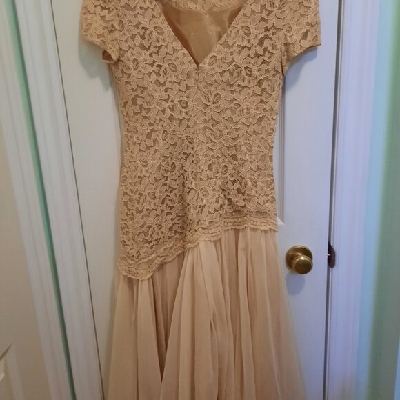 80% Evening  Dress Lace Bodice and Chiffon Skirt - Picture 3 of 7
